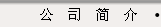 公司簡介